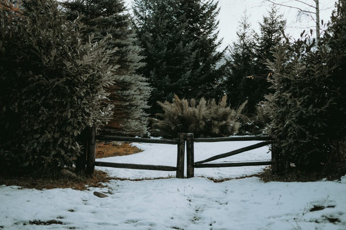 Winter Landscaping