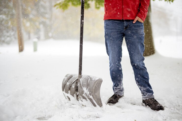 Winter Cleanup