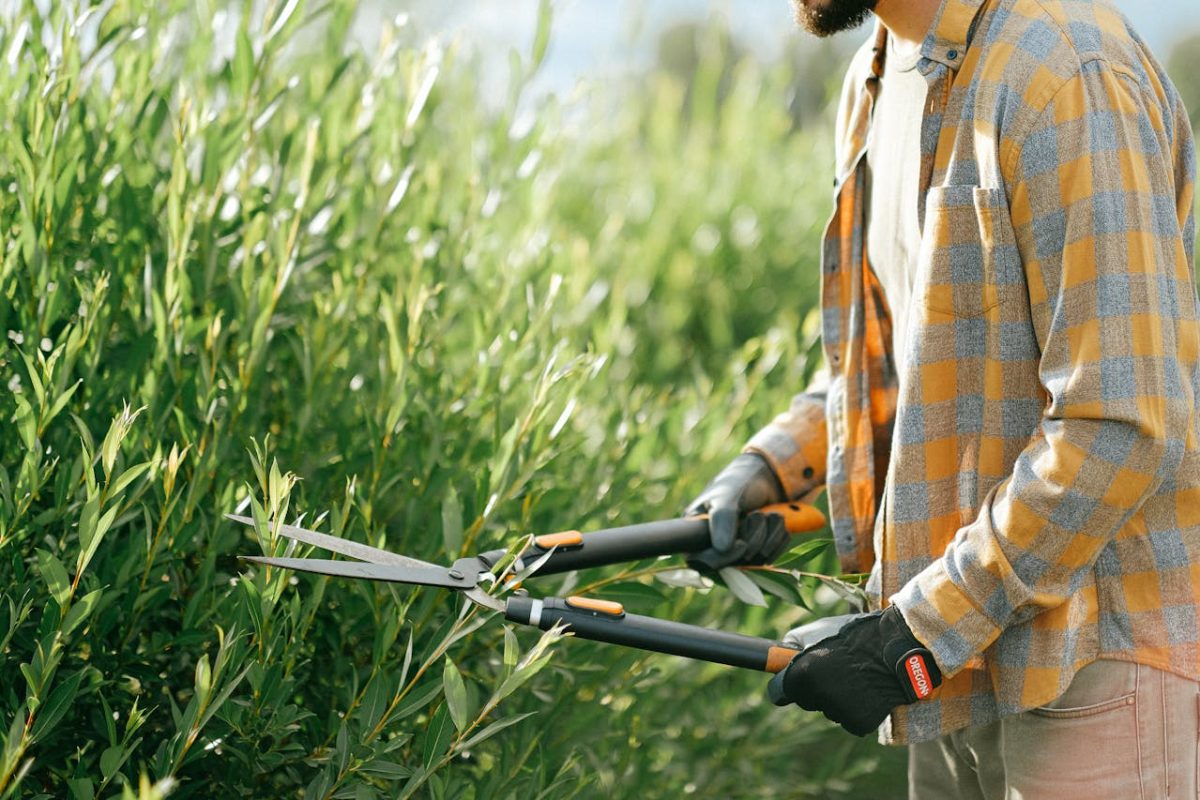 garden trimming