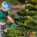 Choosing the Right Landscaping Contractors in Elgin IL for Fall Projects