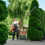 Elgin Landscapers’ Tips for Managing Leaves and Plant Beds