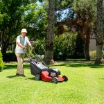 What Professional Lawn Care in Elgin Looks Like During Fall