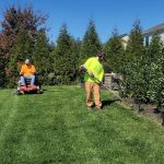 What to Expect From a Landscaping Company in Elgin, IL, This Season