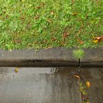 Preparing Your Yard Drainage in Elgin Before Winter Weather Arrives