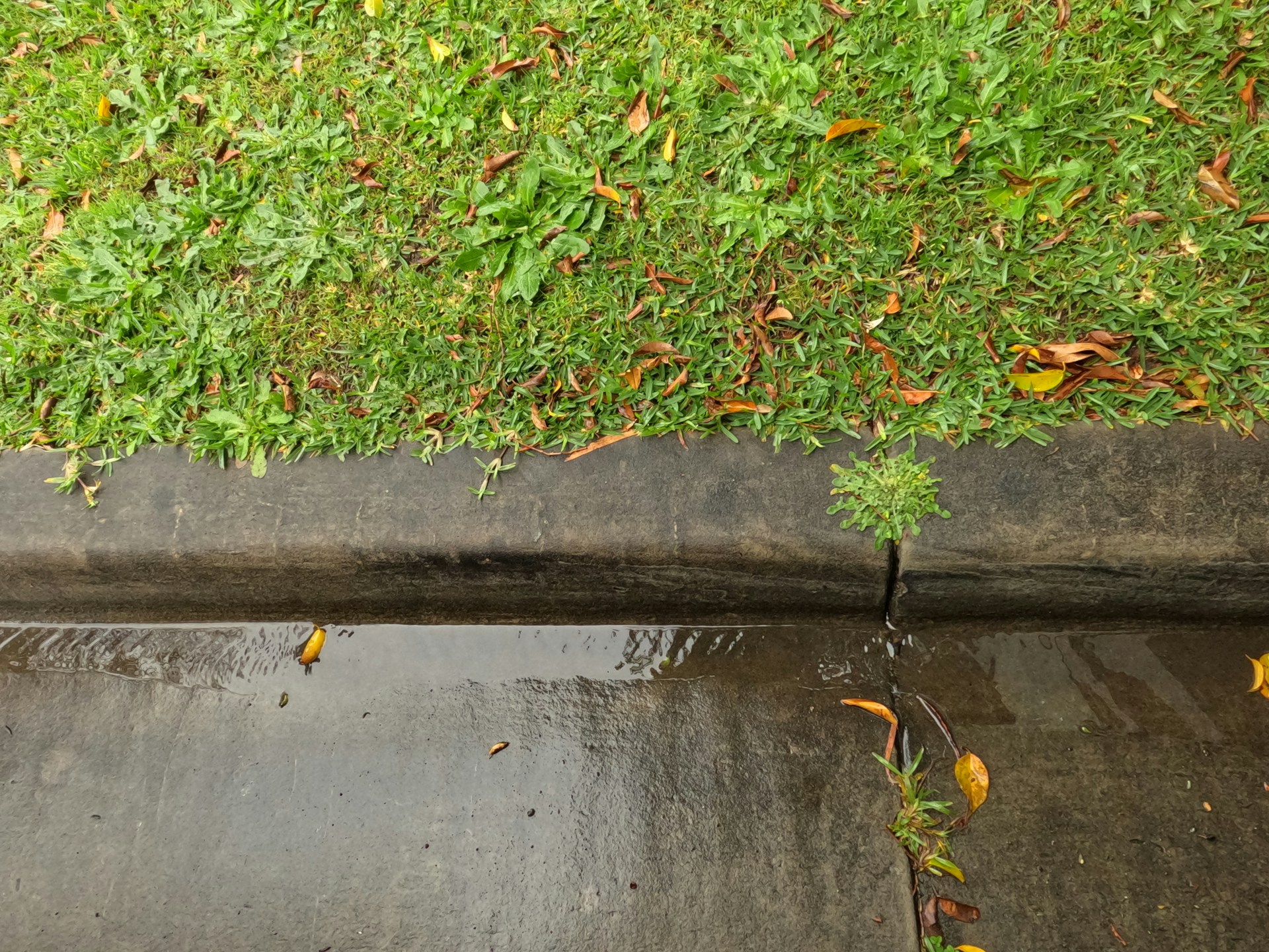 Yard Drainage